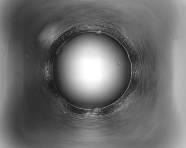 X0000093601490200710151211