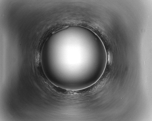 X0000093601492200710151211