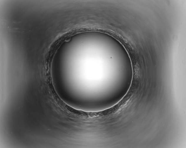 X0000093601494200710151211