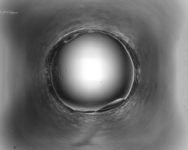 X0000093601496200710151211