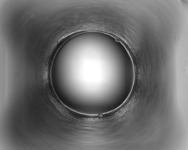 X0000093601499200710151211