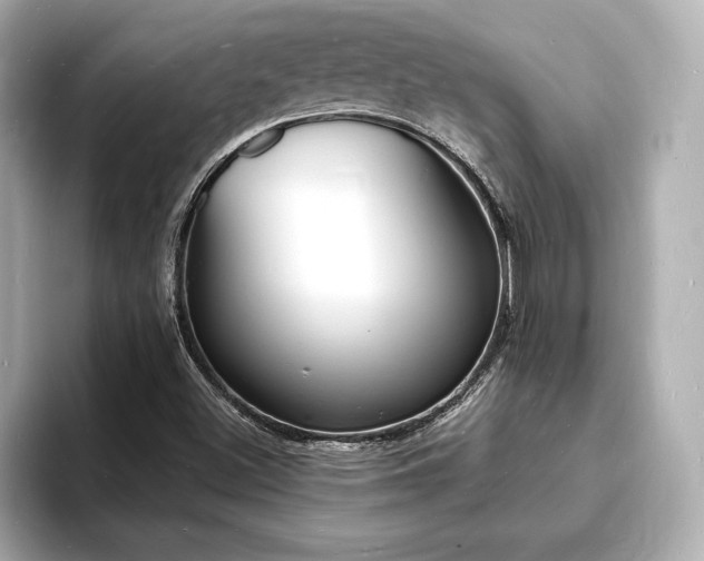 X0000093601500200710151211