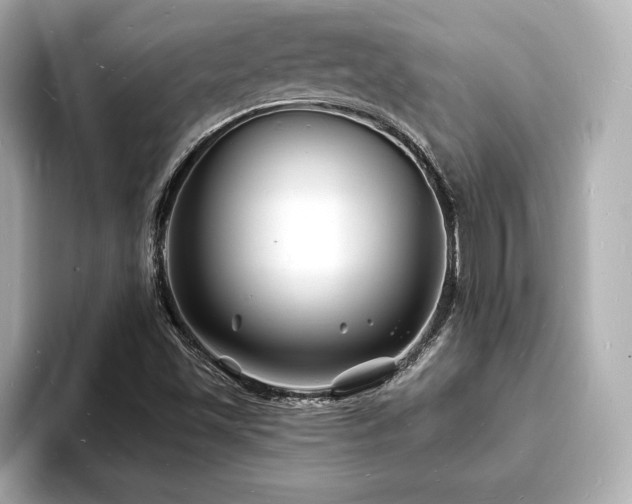 X0000093601501200710151211