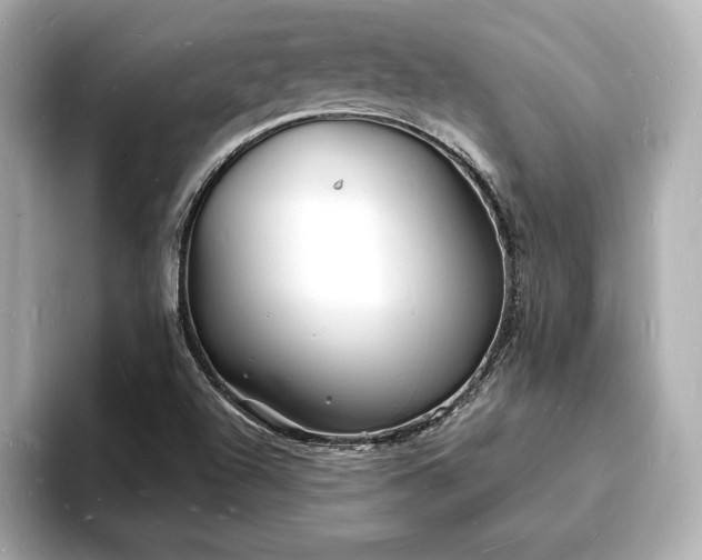 X0000093601504200710151211