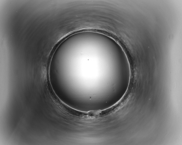 X0000093601505200710151211