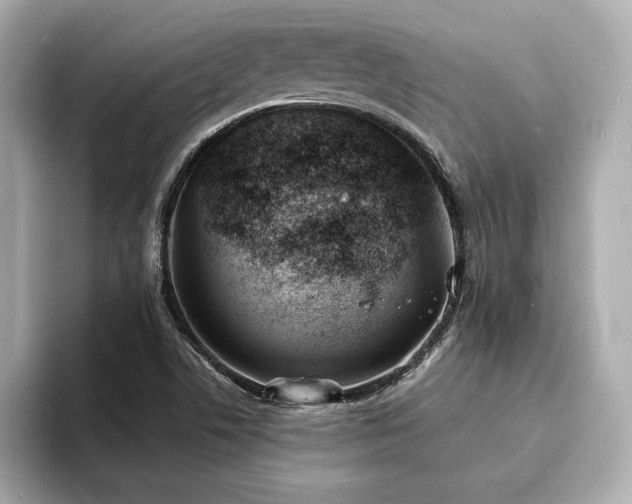 X0000093601506200710151211