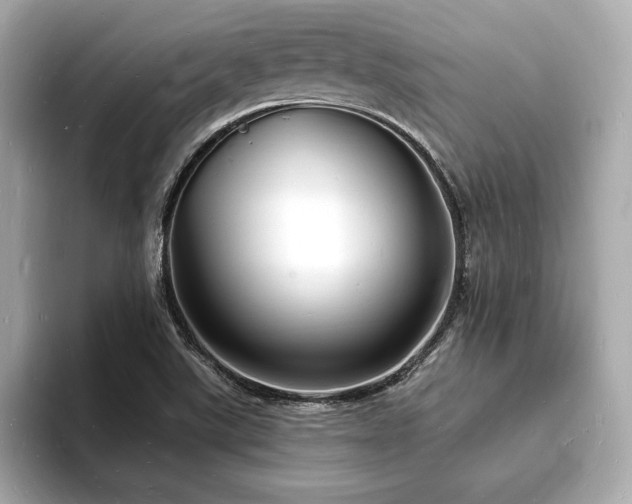 X0000093601507200710151211