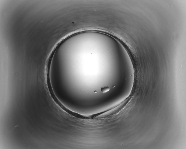 X0000093601508200710151211