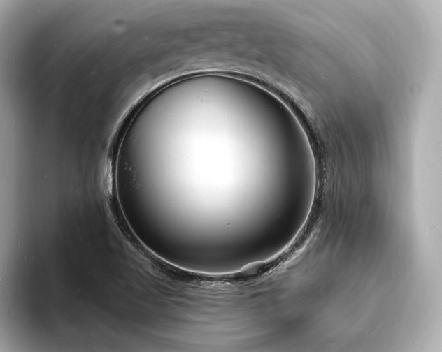 X0000093601509200710151211