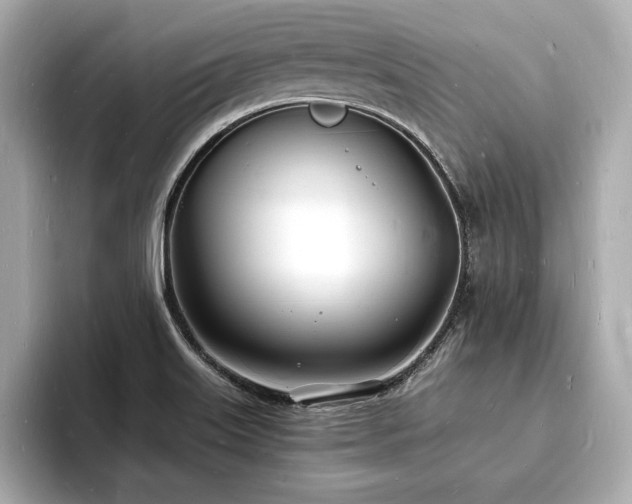 X0000093601515200710151211