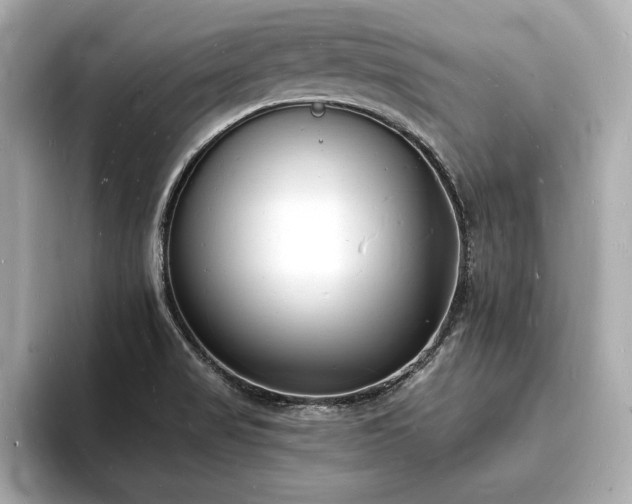 X0000093601517200710151212