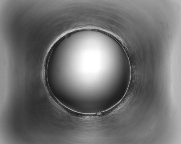 X0000093601518200710151212