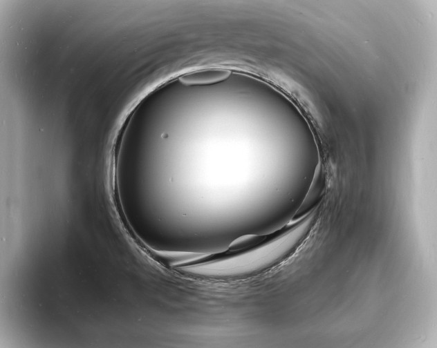 X0000093601520200710151212