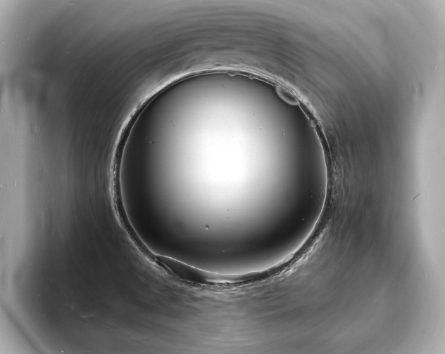 X0000093601525200710151212