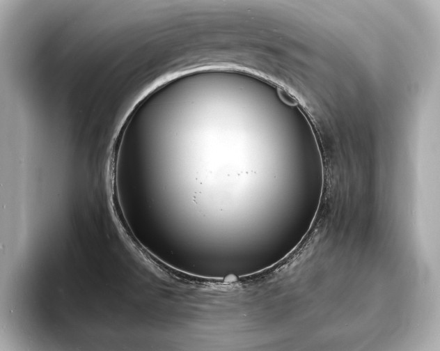 X0000093601526200710151212