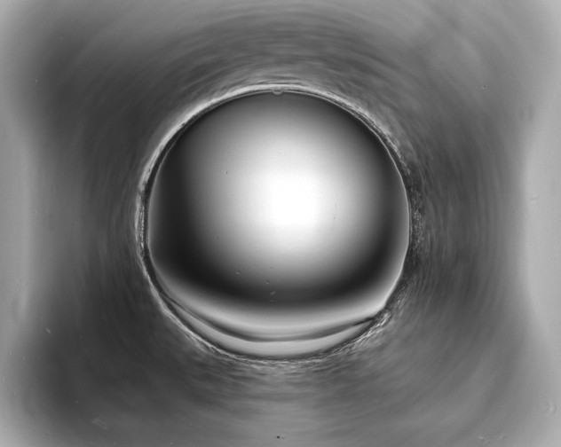 X0000093601527200710151212