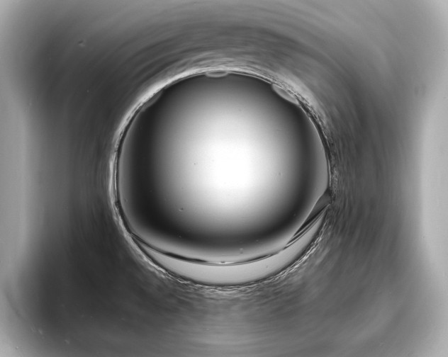 X0000093601528200710151212