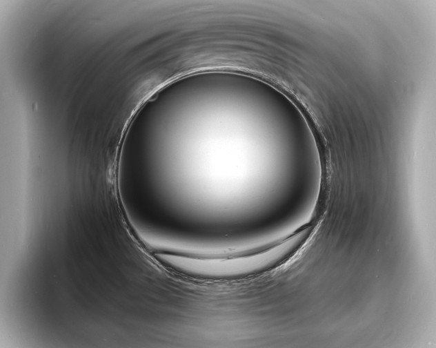 X0000093601529200710151212