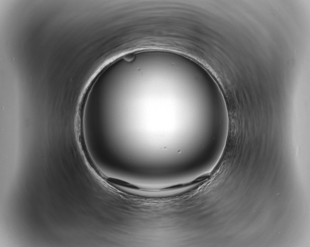 X0000093601531200710151212