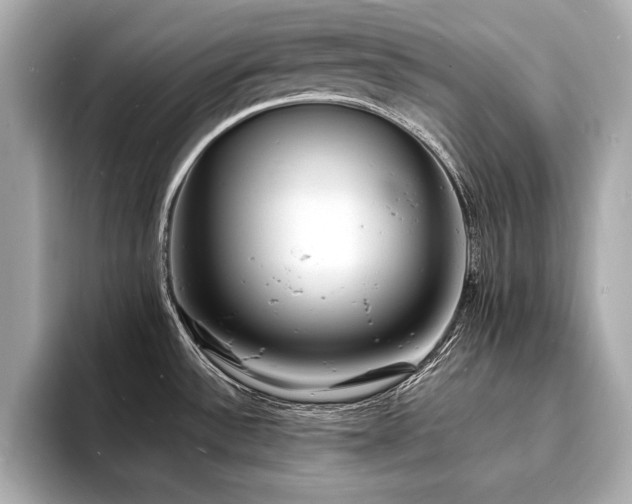 X0000093601532200710151212