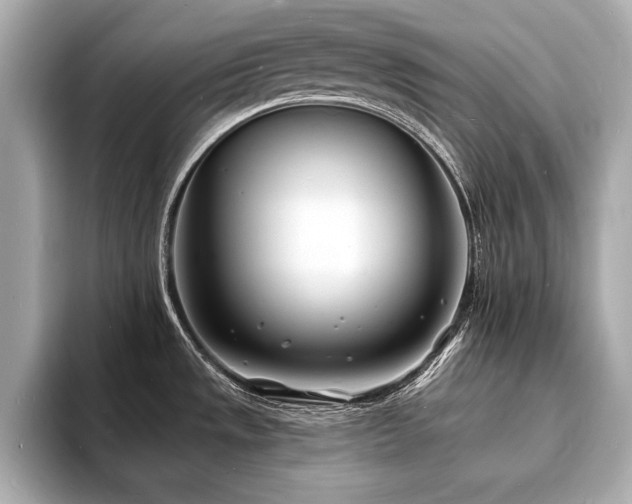 X0000093601533200710151212