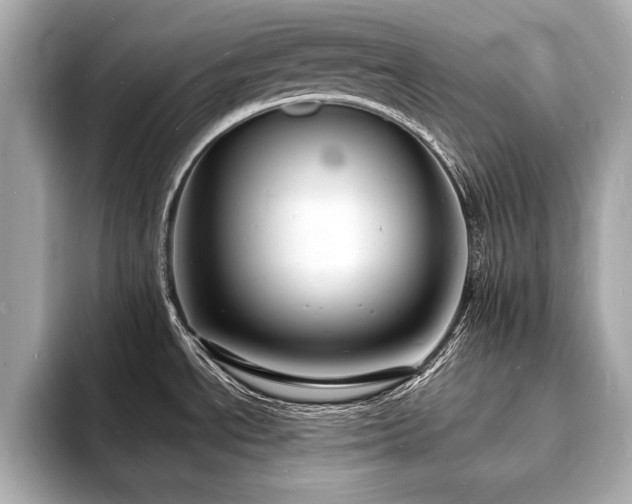 X0000093601534200710151212