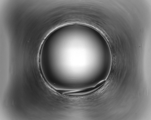 X0000093601535200710151212