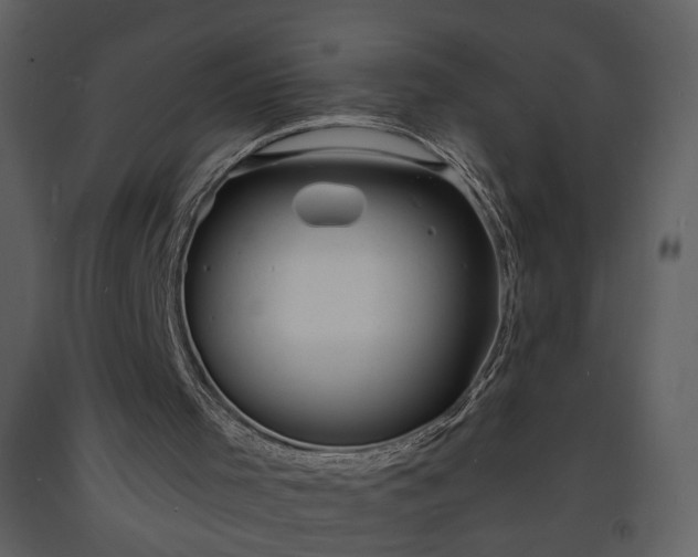 X0000093600001200710221556