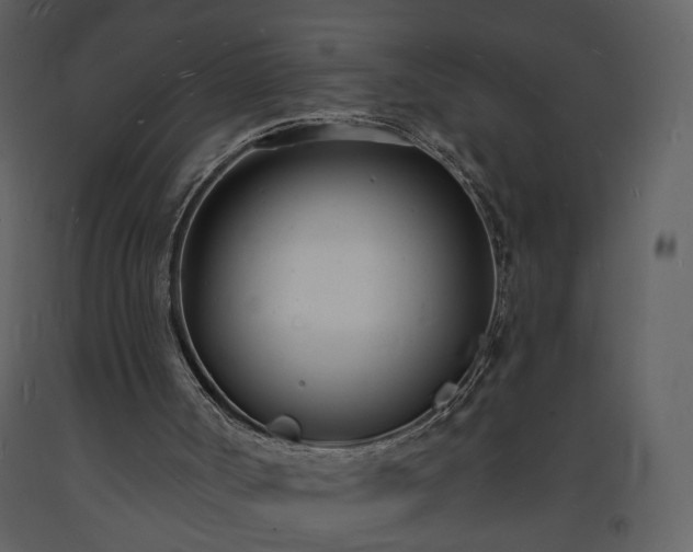 X0000093600002200710221556