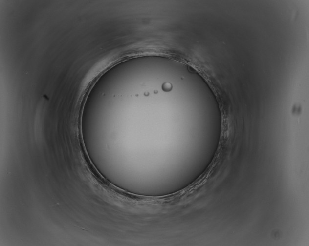 X0000093600004200710221556