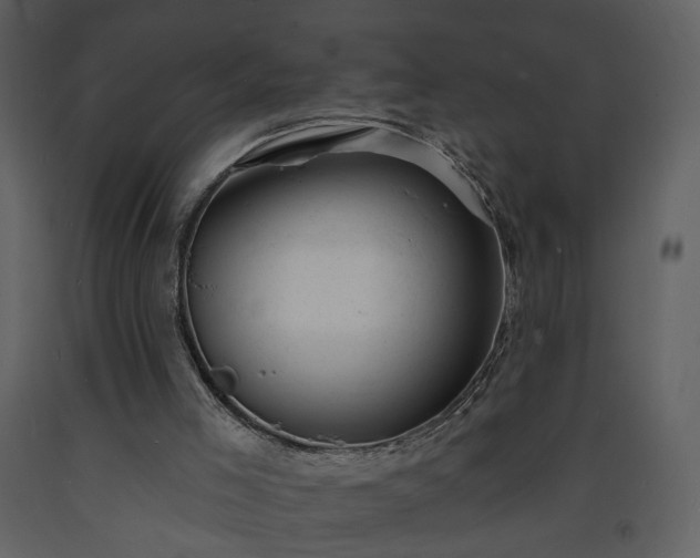 X0000093600005200710221556