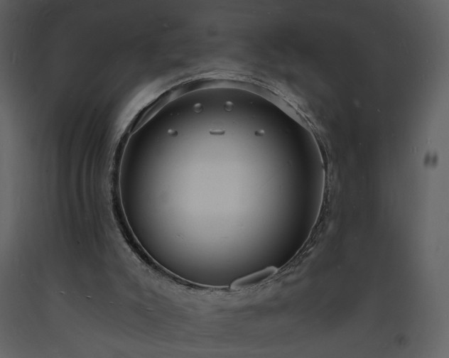 X0000093600007200710221556