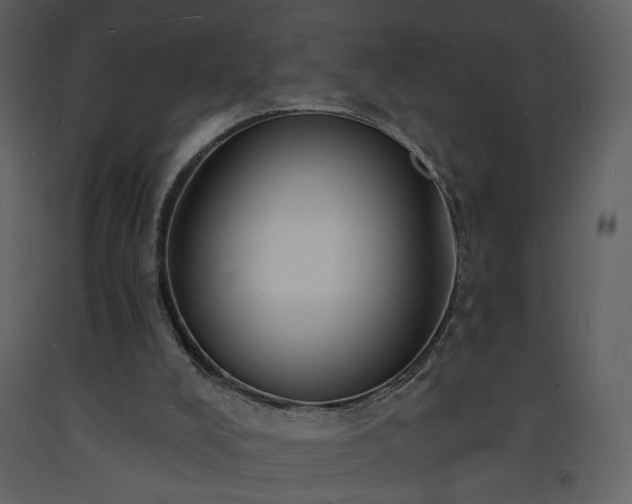 X0000093600008200710221556