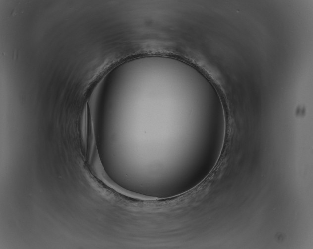 X0000093600009200710221556