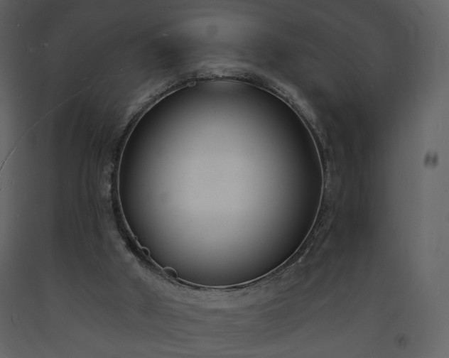 X0000093600010200710221556