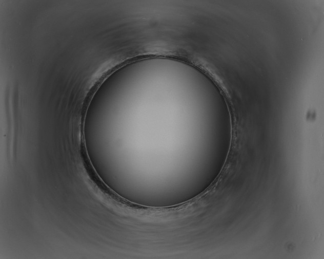 X0000093600011200710221556