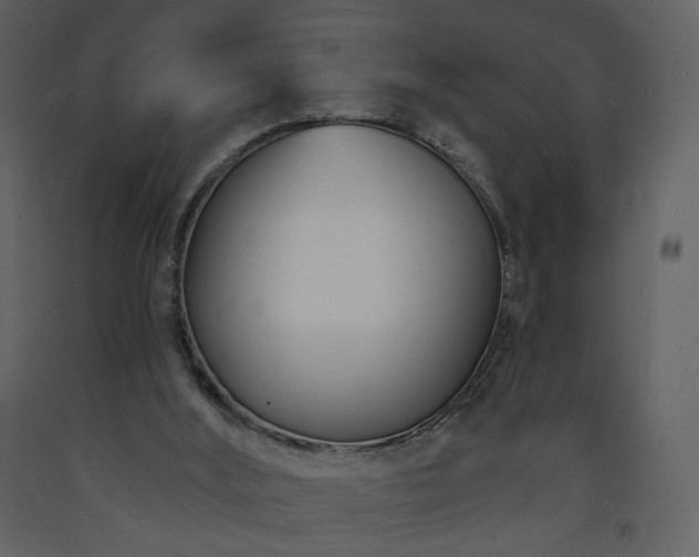 X0000093600012200710221556