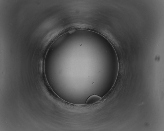 X0000093600014200710221556