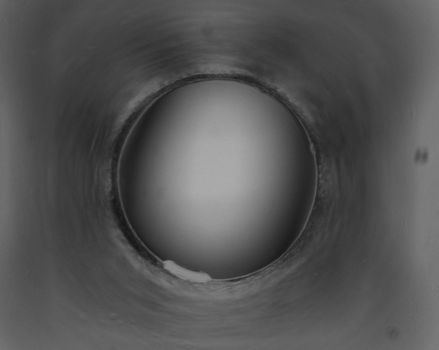 X0000093600015200710221556