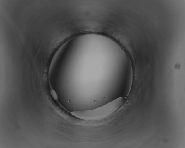 X0000093600017200710221556