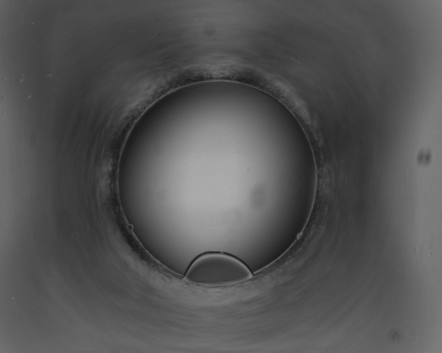 X0000093600018200710221556