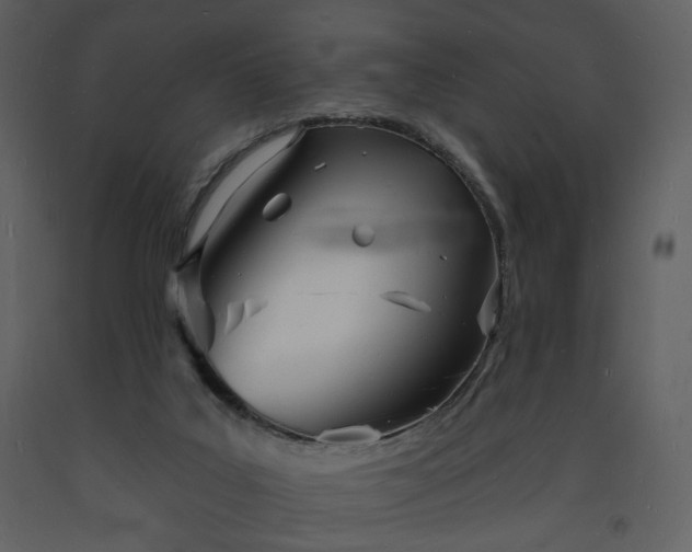 X0000093600019200710221556