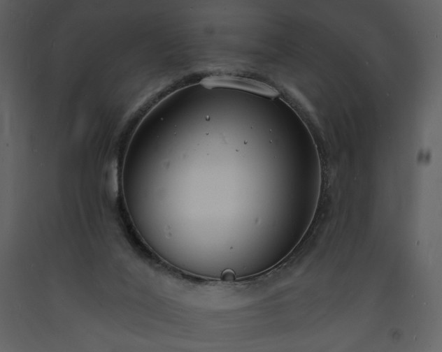 X0000093600020200710221556