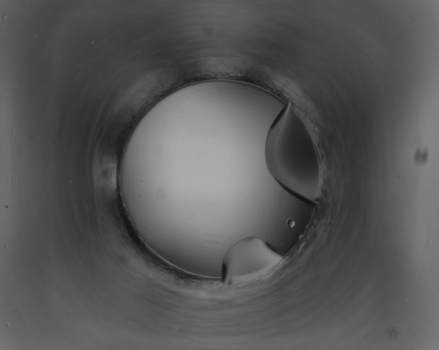 X0000093600021200710221556