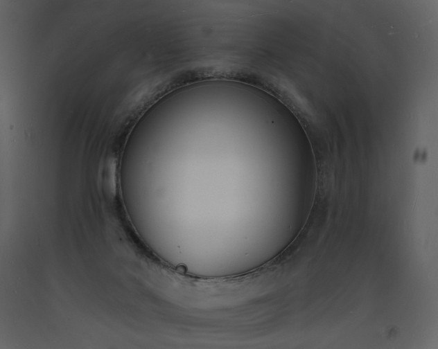 X0000093600022200710221556