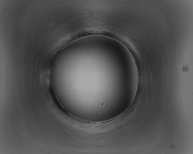 X0000093600023200710221556