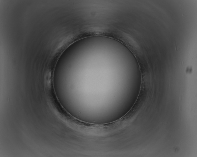 X0000093600024200710221556