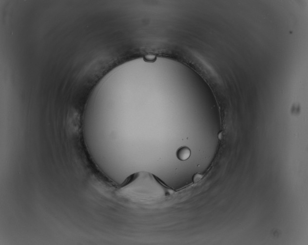 X0000093600025200710221556