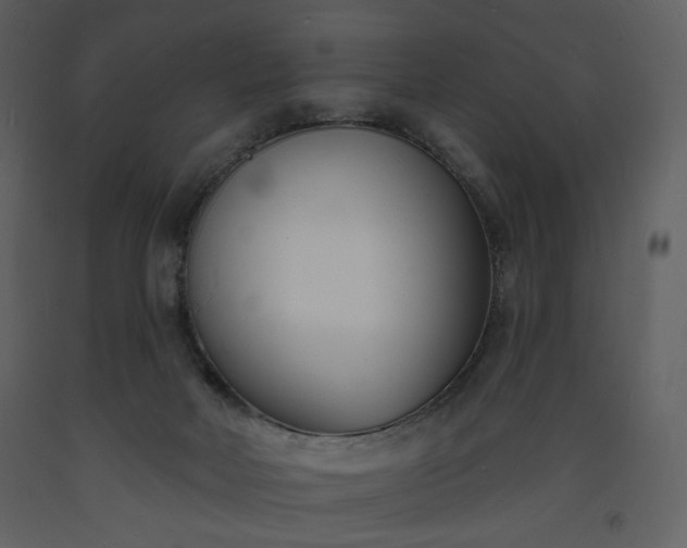 X0000093600026200710221556