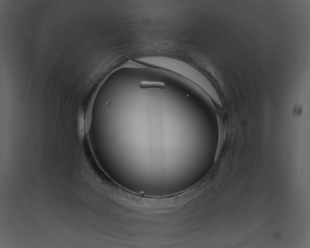 X0000093600027200710221556